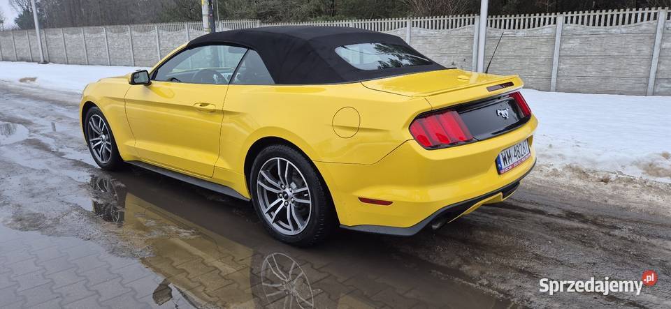 Ford Mustang VI 23 ecoboost Zarejestrowany w Polsce mazowieckie Mrozy