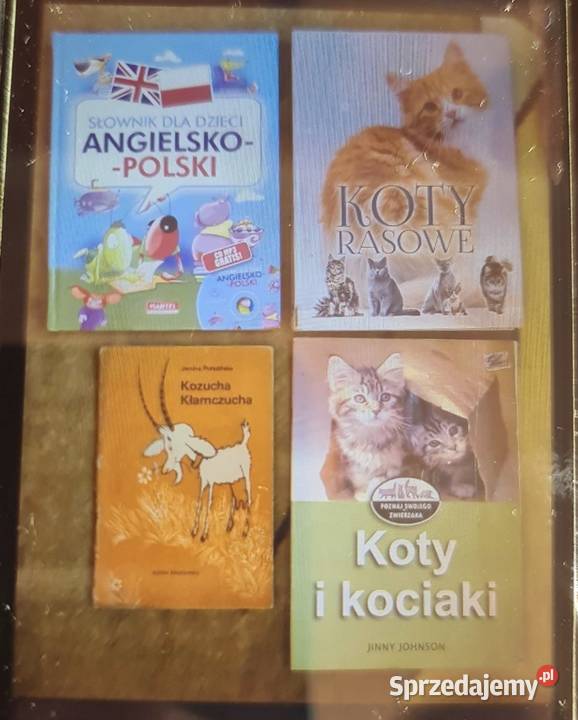 Ksiązki np Hans Chrystian Andersen i i inne Andrychów