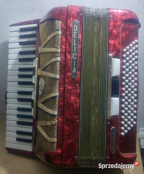 Akordeon DELICIA Instrumenty klawiszowe i MIDI Nowa Sól