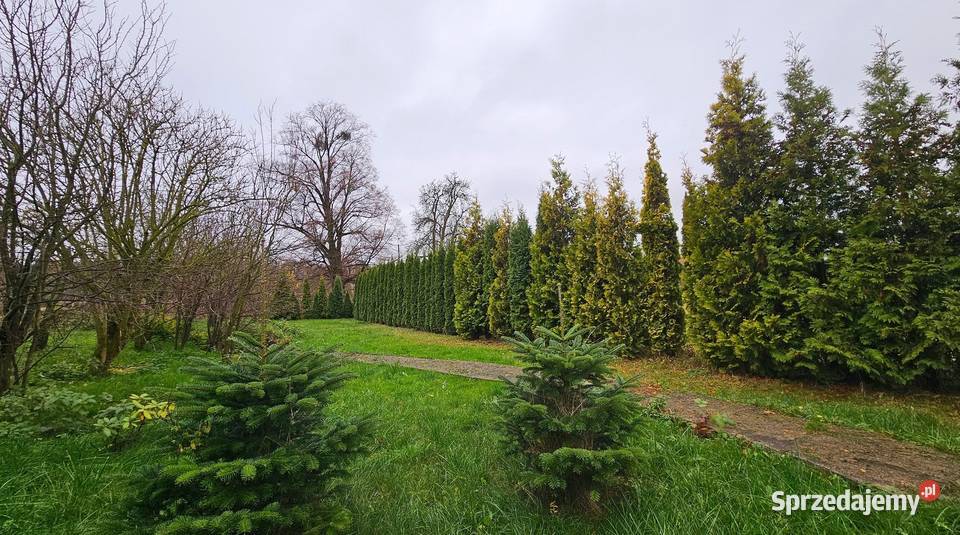 2pok 182met Dom wolnostojący PIWNICAOGRÓD piwnica Radzieszyn