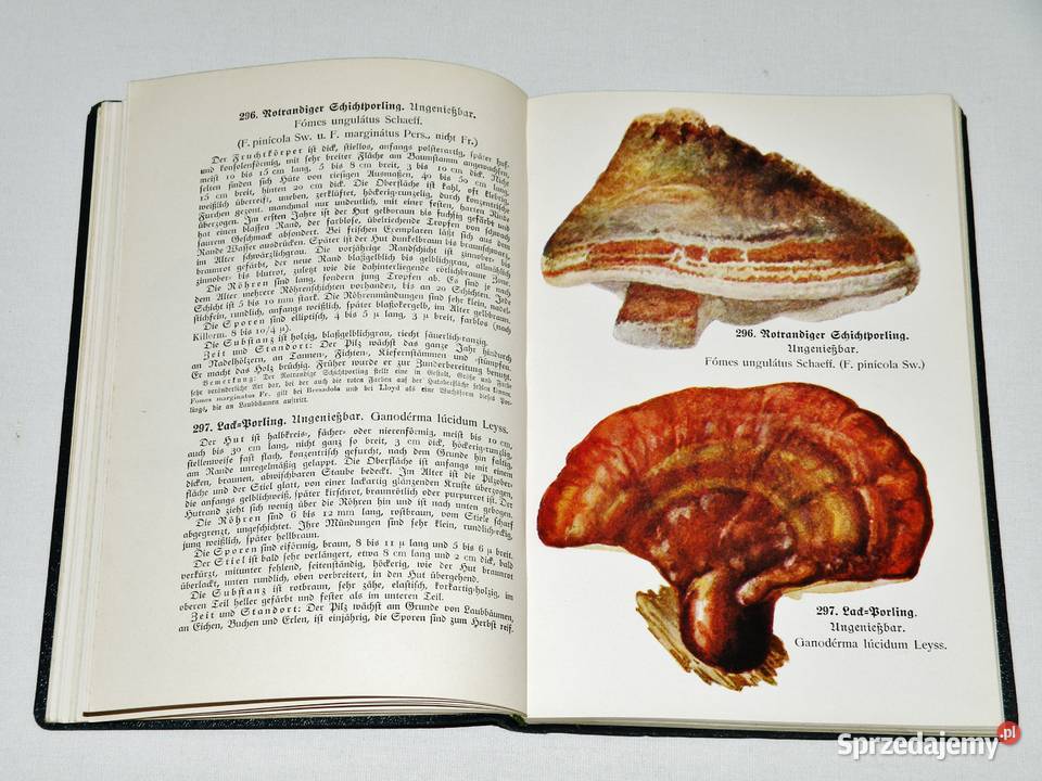 Fhrer fr Pilzfreunde EMichael RSchulz Tom 3 Wyd kujawsko-pomorskie Bydgoszcz