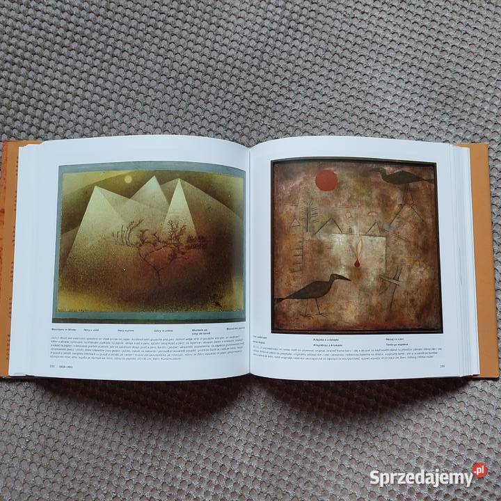 nowy album Paul Klee Hajo Dchting twarda z obwolutą Kultura i Rozrywka Kraków