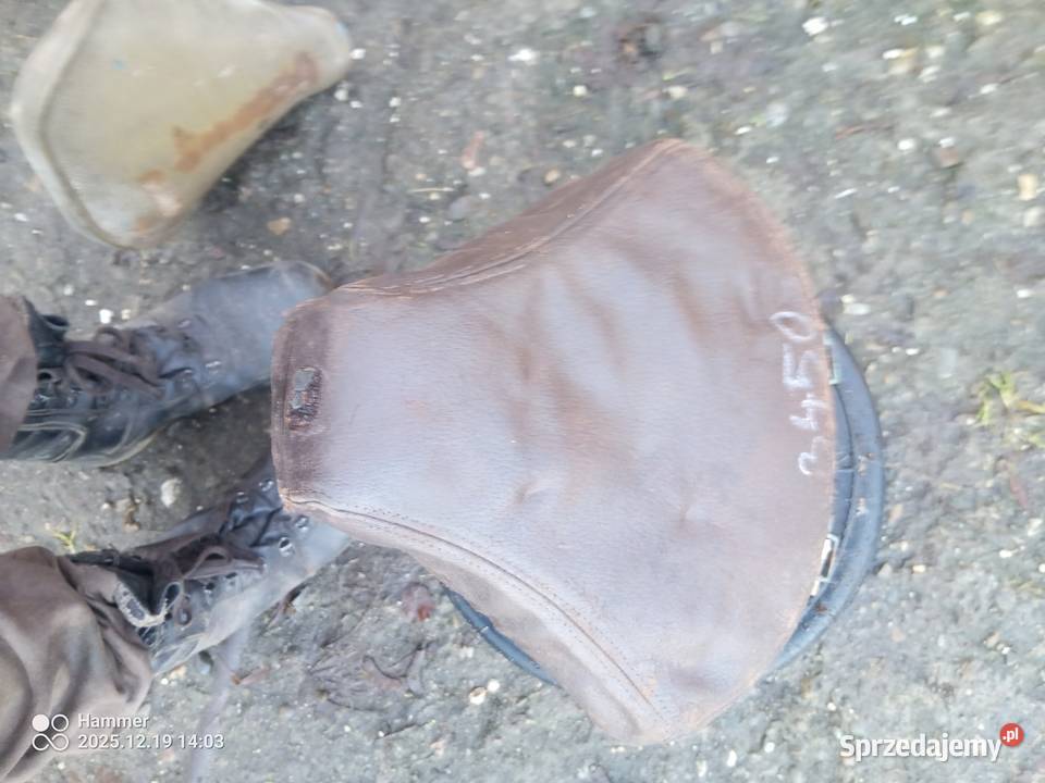 Komar sztywniak DKWNSU Wierzchosławice sprzedam