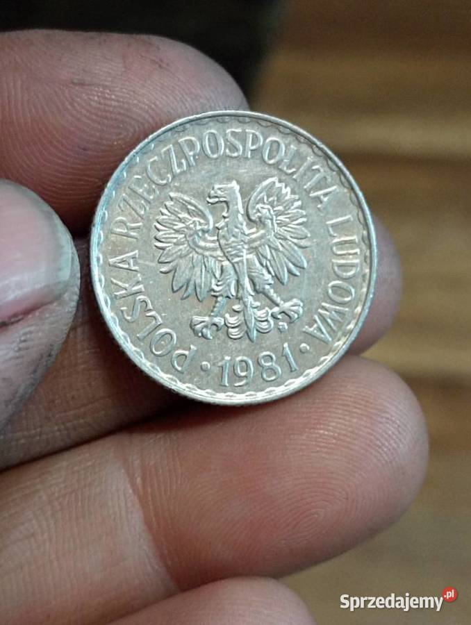 Sprzedam monete 1 zloty 1981r Chełm