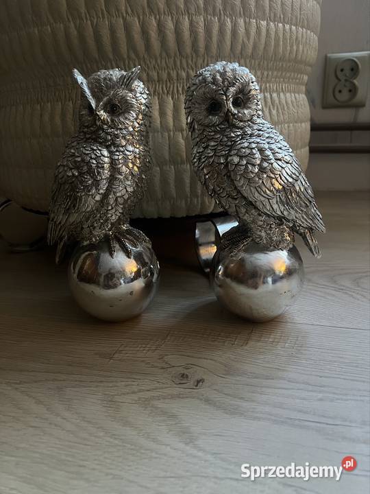 Piękne Srebrne Sowy