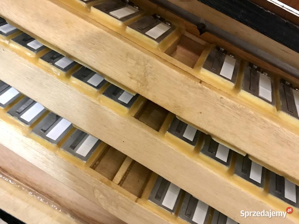 PAOLO SOPRANI Italia AKORDEON 120 basów OKAZJA Warszawa