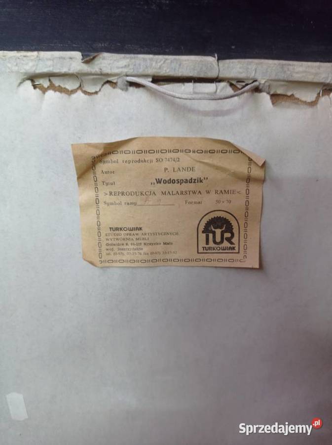 Reprodukcja obrazu Wodospadzik