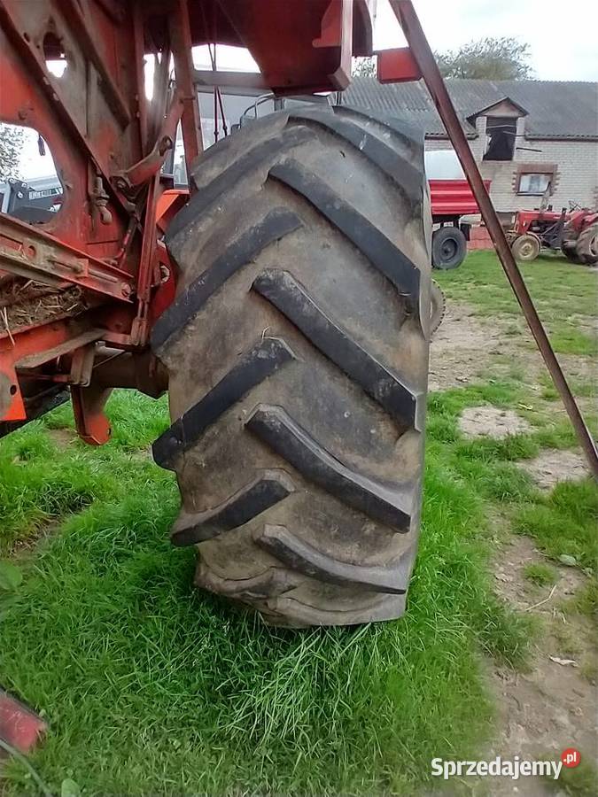 Opony Bizon 23126 Pozostałe