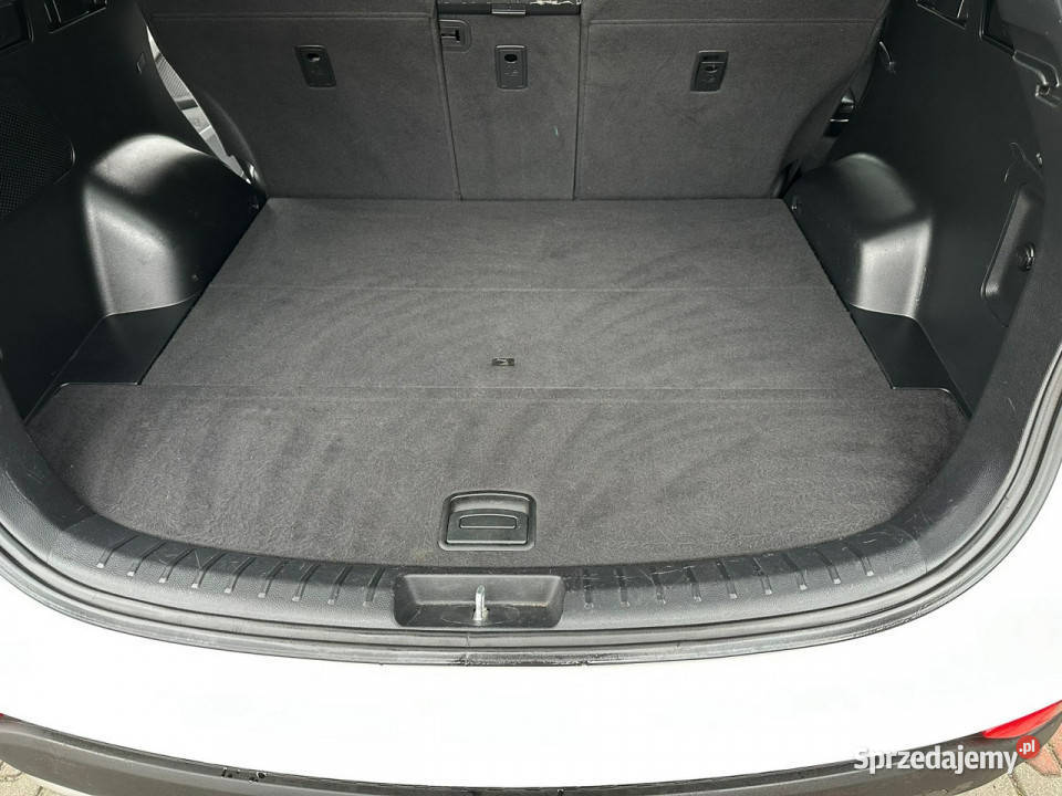 Hyundai Santa Fe 20crdi 4x4Manual Alu18 Stan elektryczne lusterka