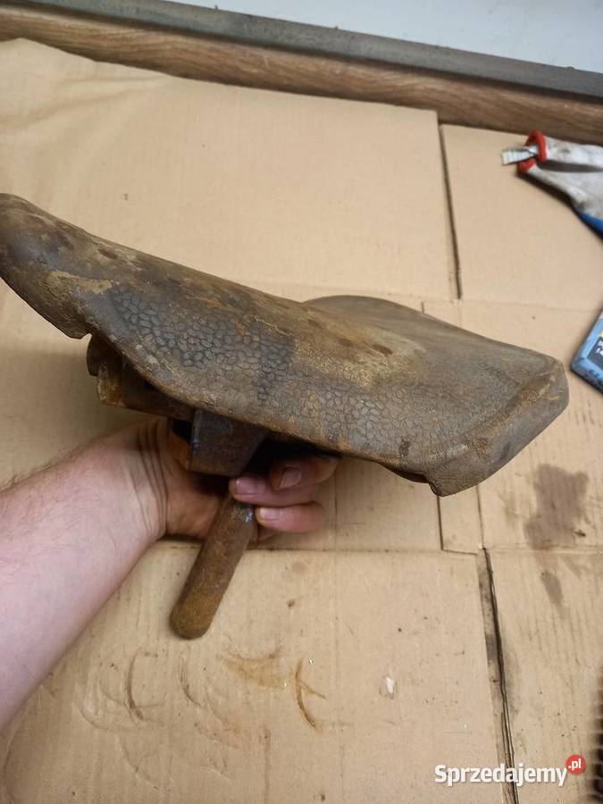 Siedzenie komar sztywniak Sokołów Podlaski