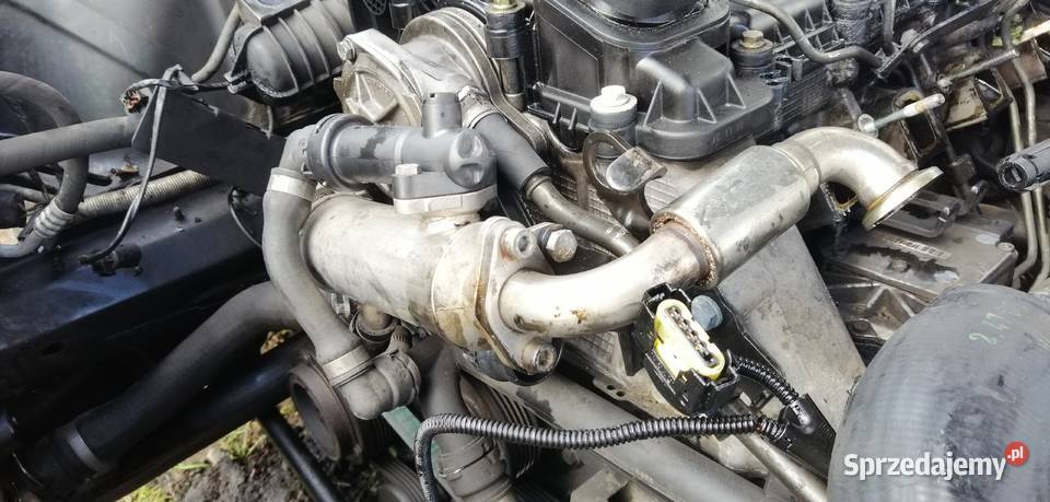 Bmw e46 chłodniczka egr 20d 136 sprawna 100 łódzkie Aleksandrów Łódzki