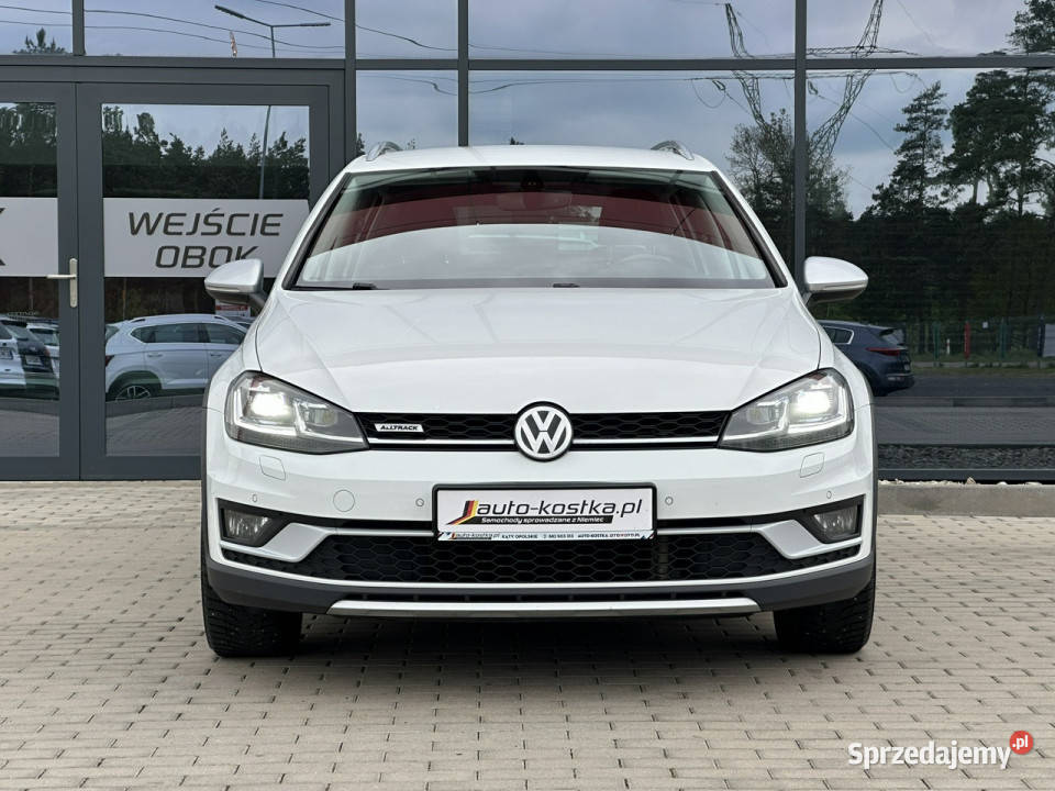 Volkswagen Golf Alltrack Kamera Grzane fotele 199661km opolskie Kąty Opolskie