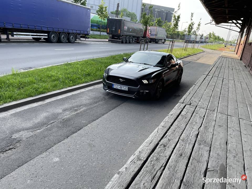 Ford mustang 37 305 160000km Zdrój