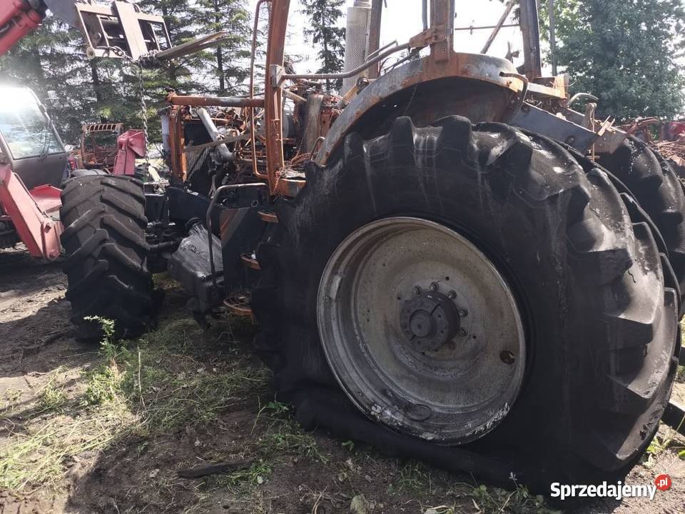Massey Ferguson 8690 Drzwi wielkopolskie Wilkowo