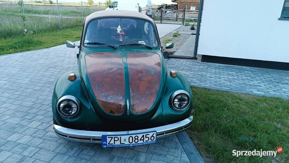 Garbus 12 boxer Garbus Inowrocław