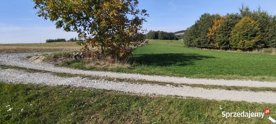 Działka z wz 30x95m 24zł/m2 Brzeziny