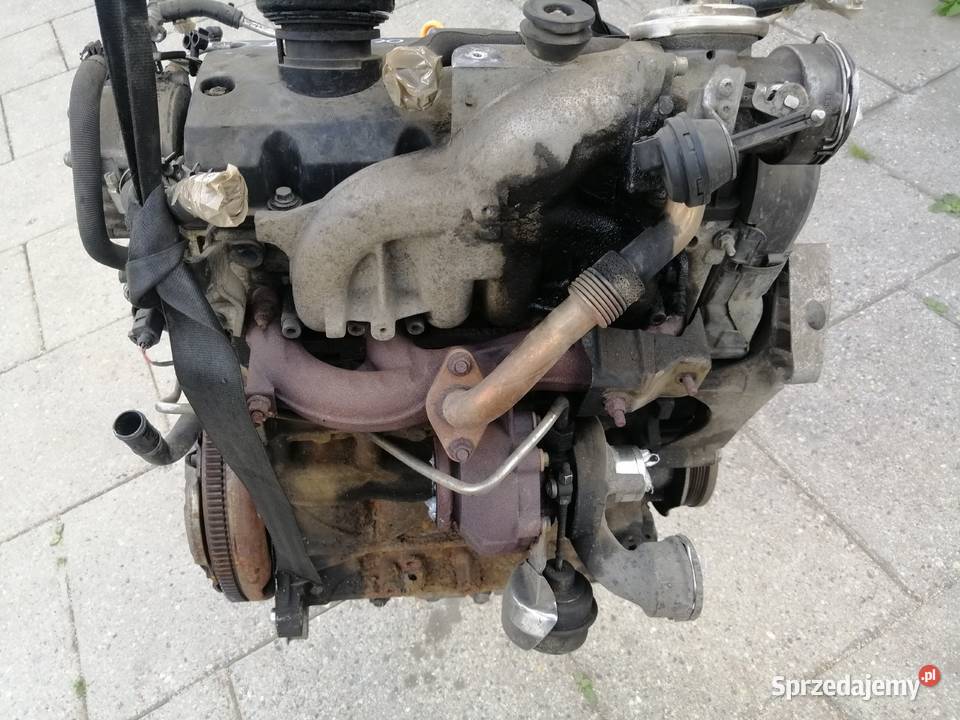 Audi Seat Skoda Volkswagen 19 TDi silnik Rok produkcji 2010 Jastrzębie-Zdrój