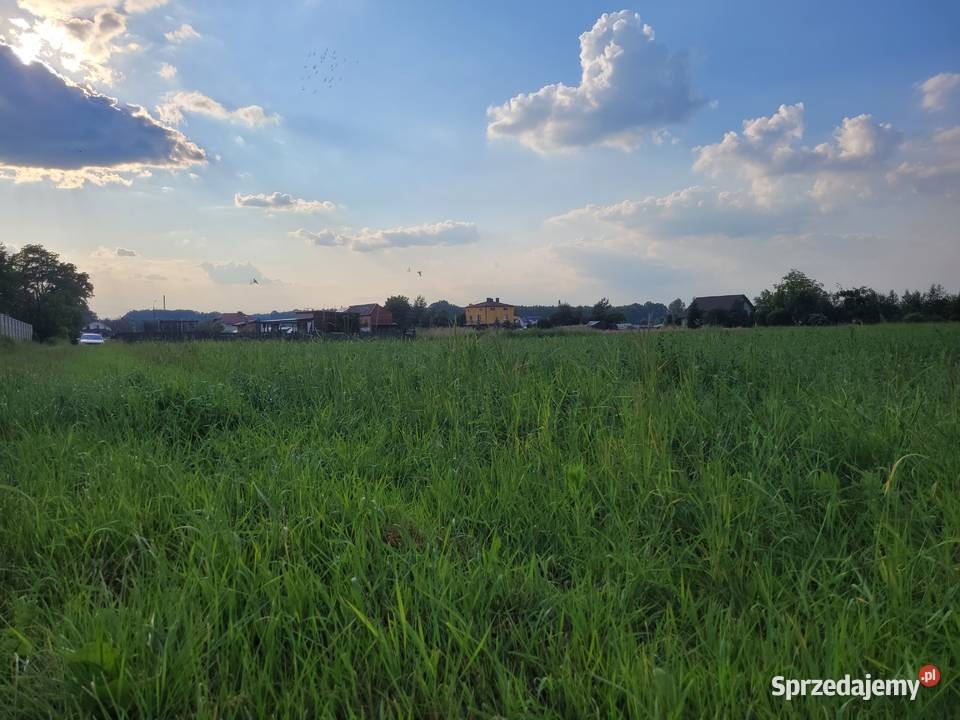 Działka budowlana 10 min Tychów Bieruń 9ar