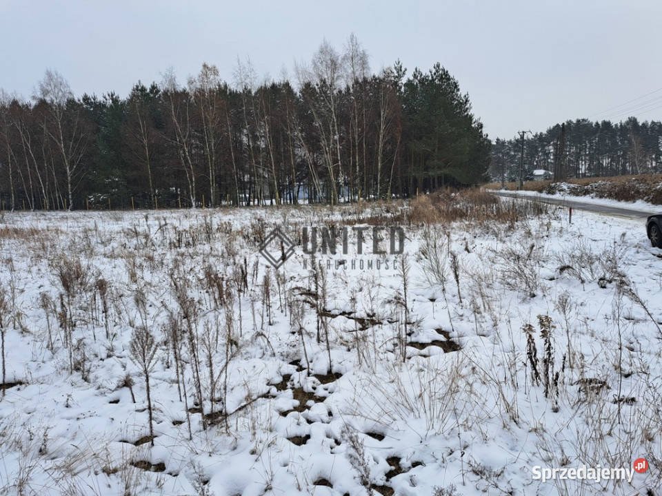 Działki budowlane Miłocice Małe dolnośląskie sprzedam