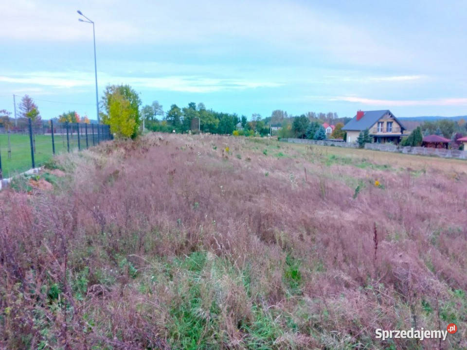 Działka Zaborze 3000m2 asfalt świętokrzyskie