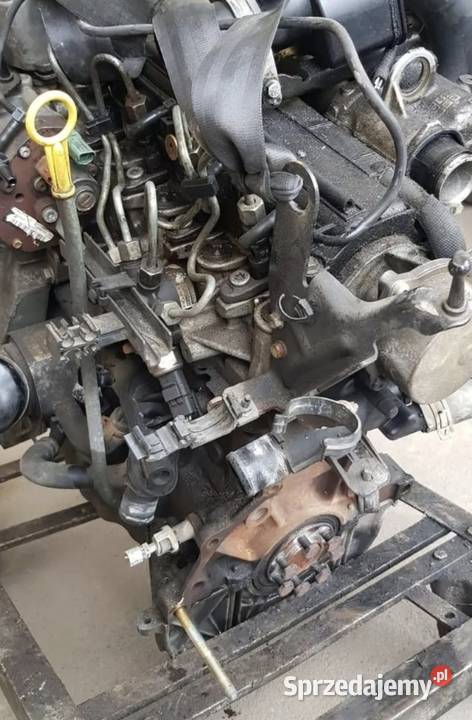SILNIK GOŁY SŁUPEK 15 DCI RENAULT MEGANE II CLIO Działoszyce
