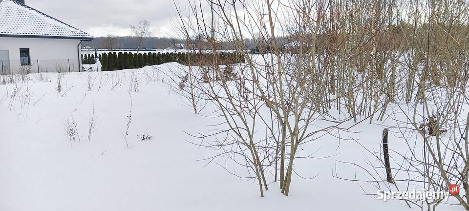 Działka z WZ w Górze k Wejherowa