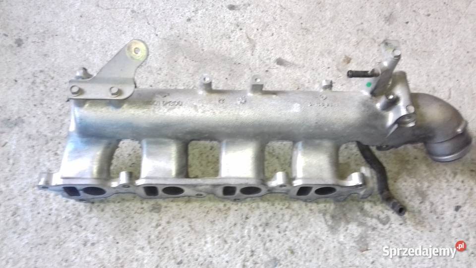 Kolektor ssący 22 di almera tino primera p12 Jaworzno