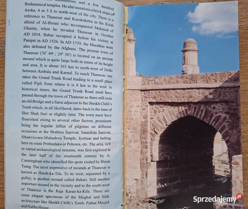 Haryana Archaeological Survey of India Kraków sprzedam