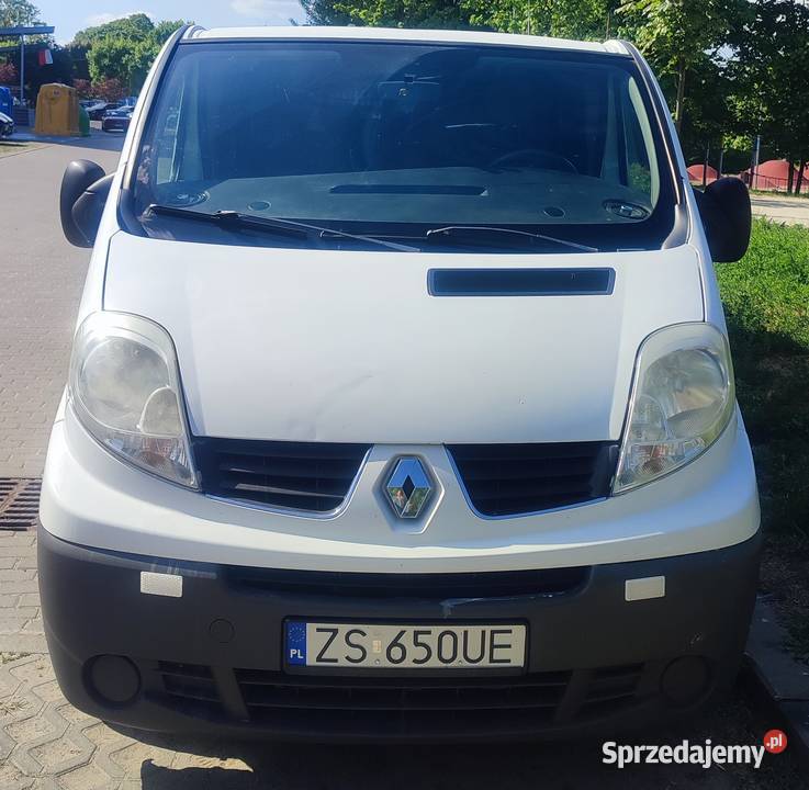 Renault Trafic II 20 dCi 114 6 os 2009r LONG 114KM śląskie Rajcza