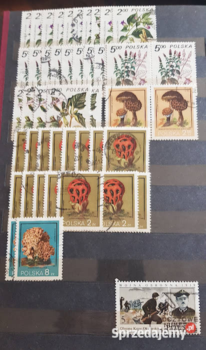 Znaczki pocztowe różne 13 lubuskie Zielona Góra