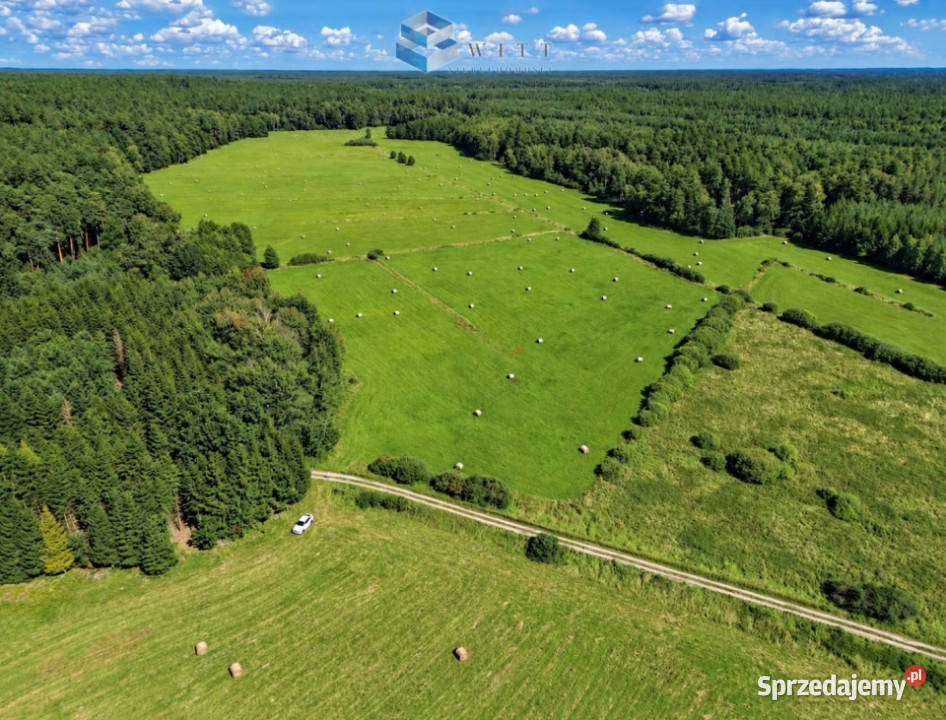 Działka Liwa 31400m2