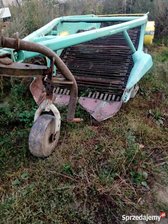 kopaczka elewatorowa do ziemniakow dolnośląskie