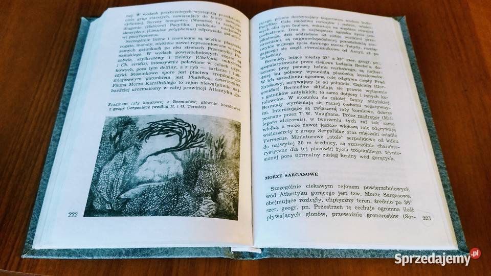 Morza i oceany ekologia i biogeografia Kazimierz Gdańsk