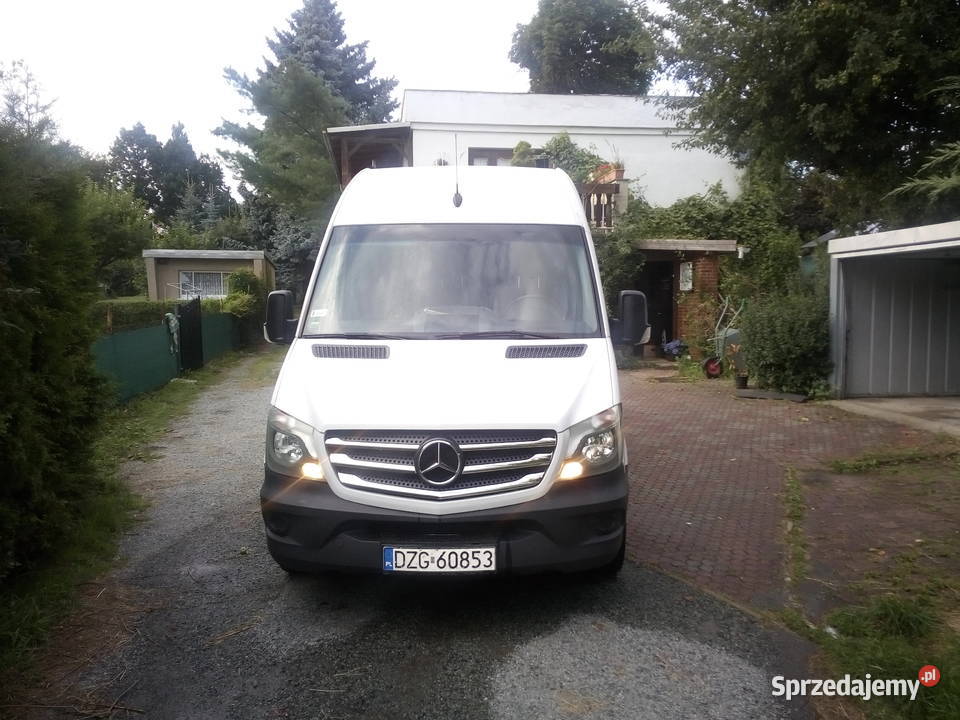 SPRINTER 316 CDI CHŁODNIA Rok produkcji 2016 Bogatynia