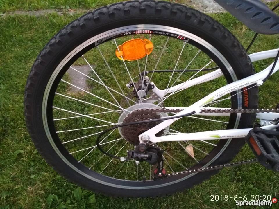 ROWER GÓRSKI 24 FORESTER RAPTOR Górki Małe