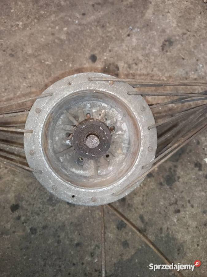 Piasta tyl zak rys Sokołów Podlaski