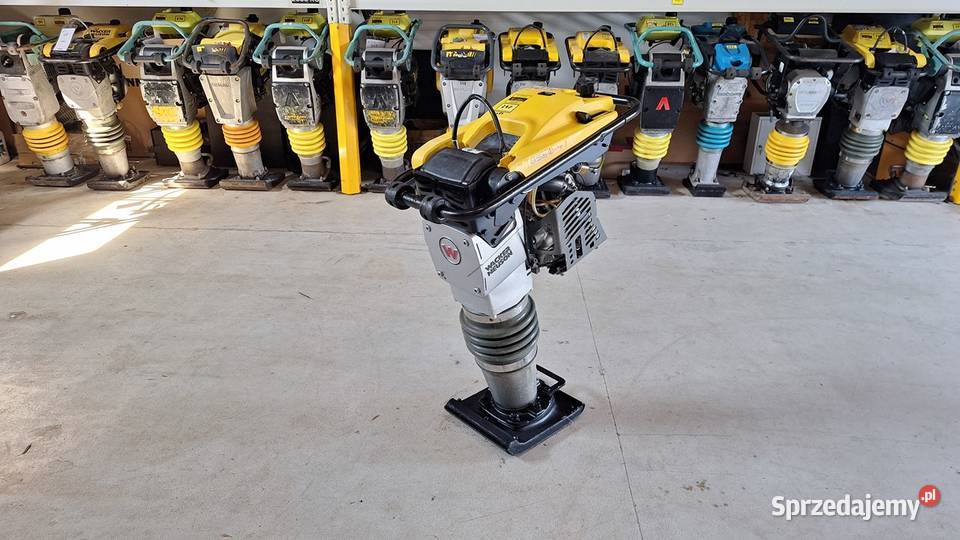 Skoczek Stopa Wibracyjna WACKER NEUSON BS 600 dolnośląskie Trzebnica