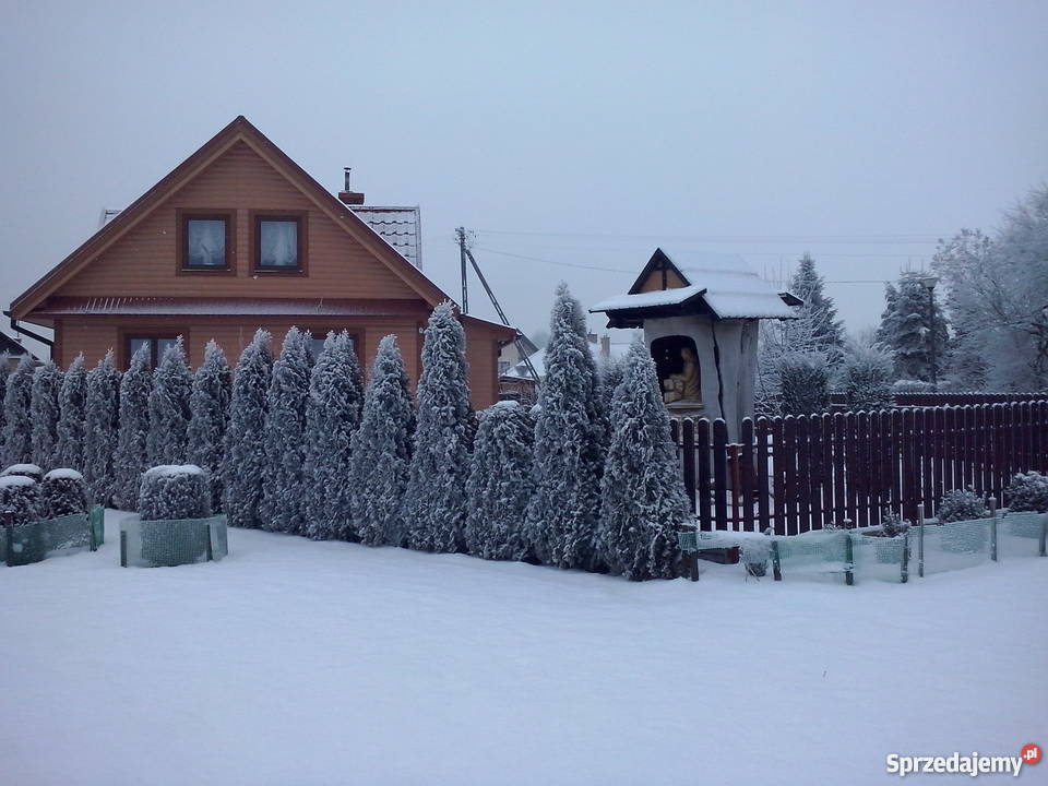 Kanadyjczyk 460m2 Skokówka sprzedam