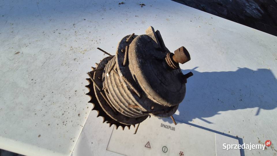 Komar piasta podlaskie Hryniewicze