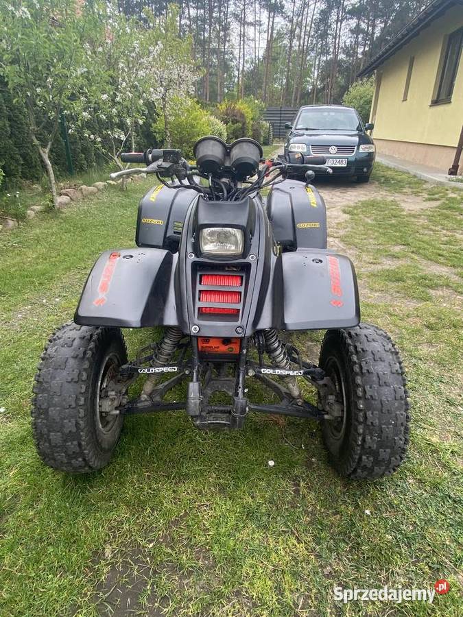 Sprzedam 2 quada Suzuki gs500 luckystar 250300 nieuszkodzony podkarpackie Stalowa Wola