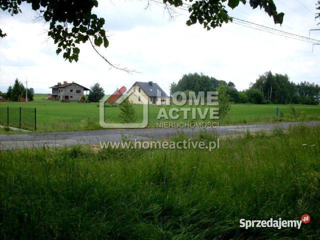 domu wolnostojącego 9000m2 Pszczyna Stara Wieś Pszczyna