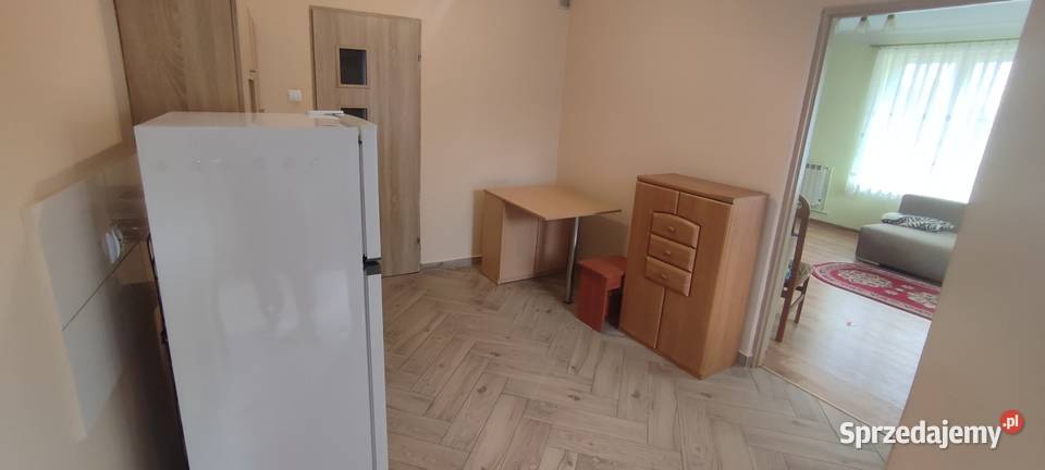 Wynajmę mieszkanie ok40 m2 parter mazowieckie