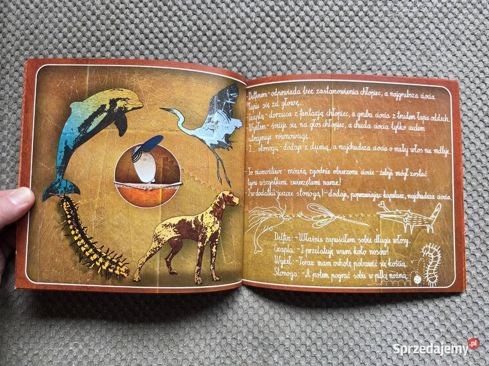 O chłopcu który chciał zostać delfinem czaplą małopolskie Kraków