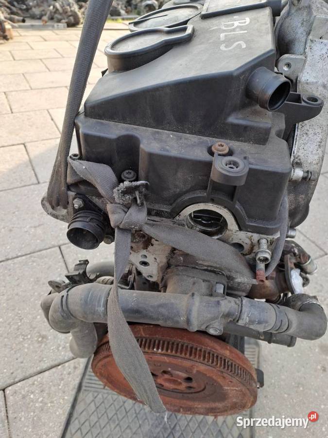 Volkswagen Golf V 19 TDi 105 silnik kod BLS Rok produkcji 2007 Jastrzębie-Zdrój
