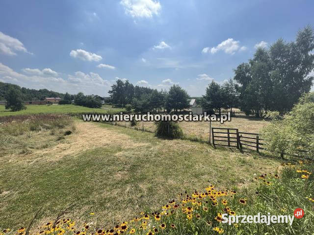 Działka do sprzedania Skrzyszów 3498m2 3498m2