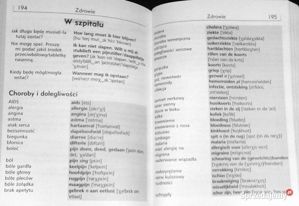 Rozmówki Niderlandzkie Last minute Beelen Hans miękka Chełm