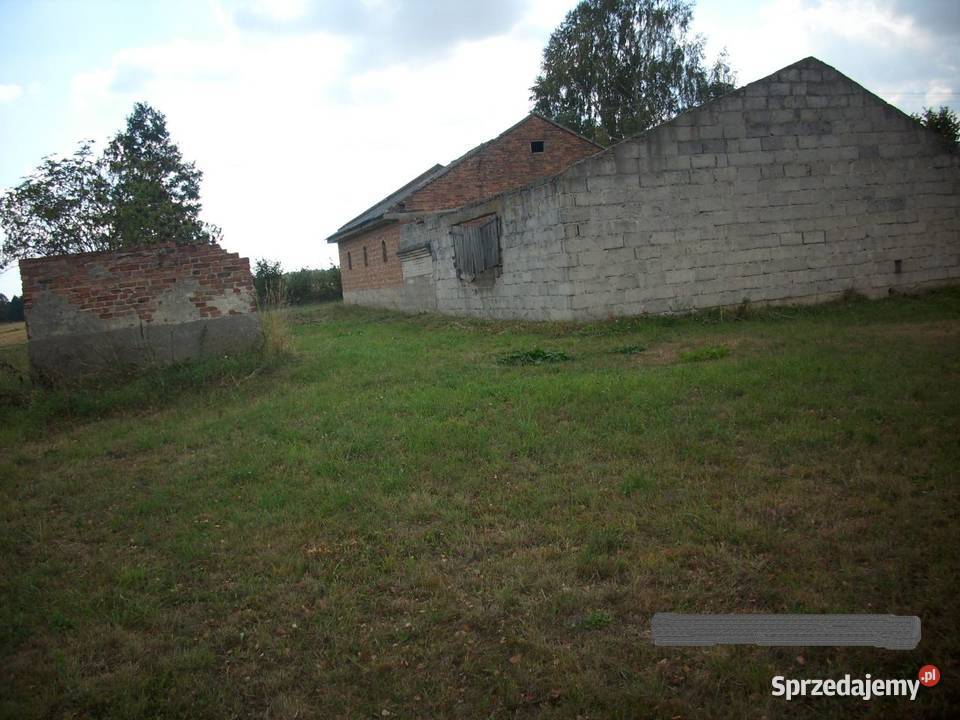 Działka siedlisko Romanów