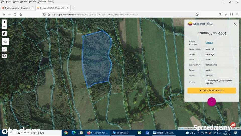 Działka w Sudetach 4ha Poręba niem Lichtenwalde Długopole-Zdrój