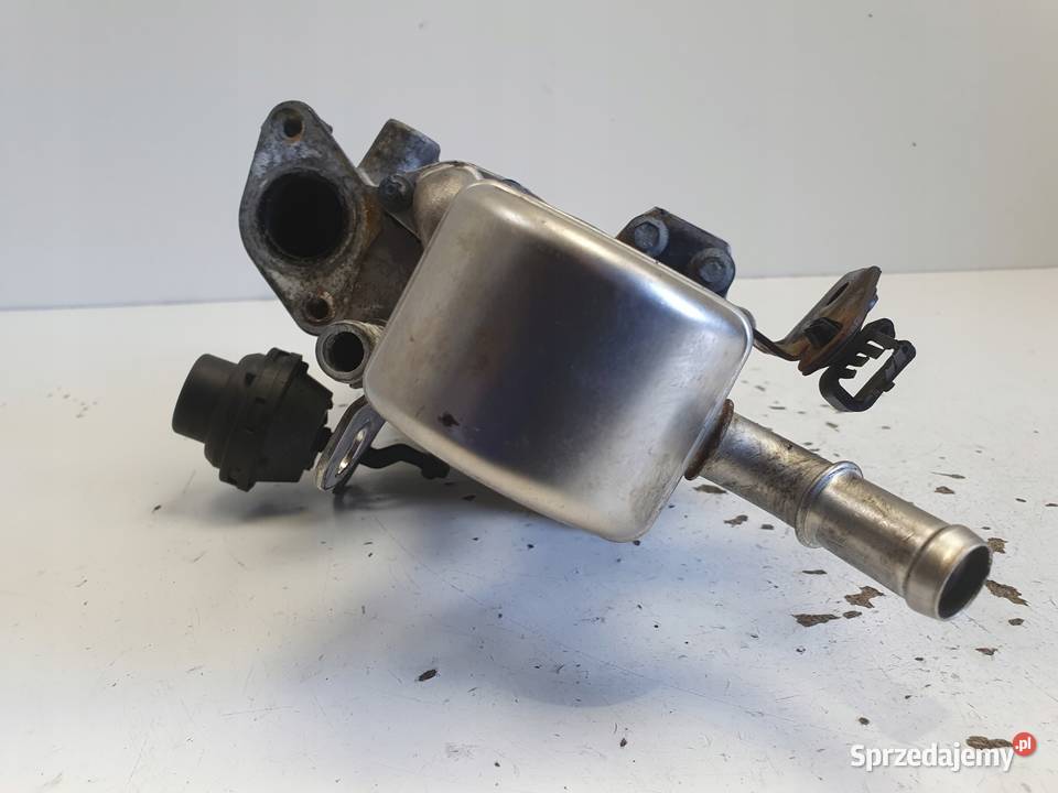 Renault Scenic III 19 DCI CHŁODNICA SPALIN egr osobowe lubelskie Rudka