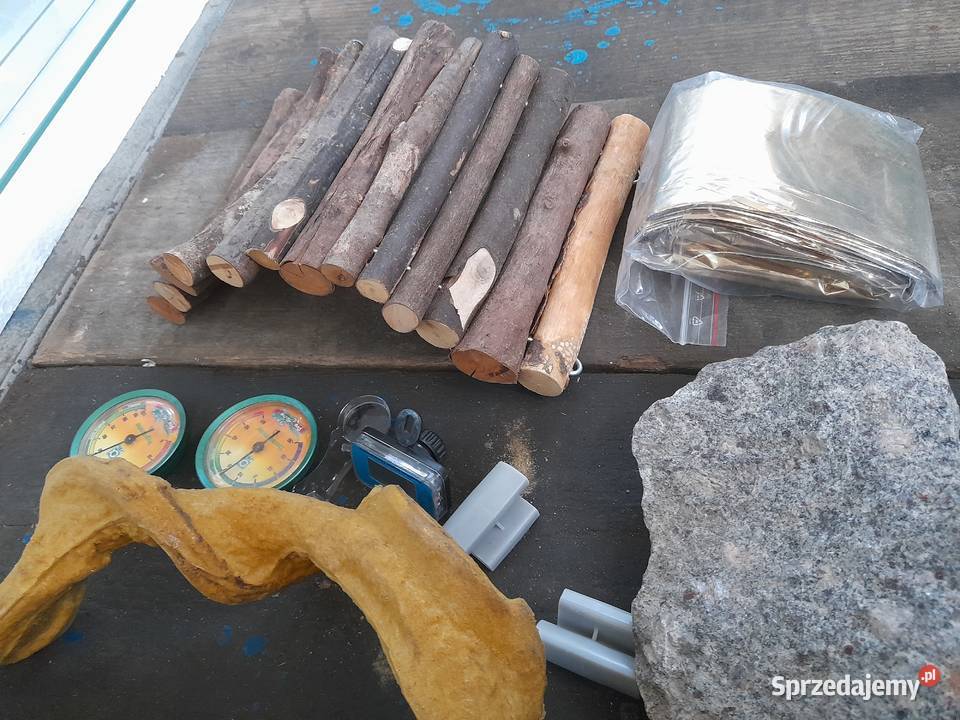 wyposażenie terrarium graty gada miseczki Terrarystyka Warszawa